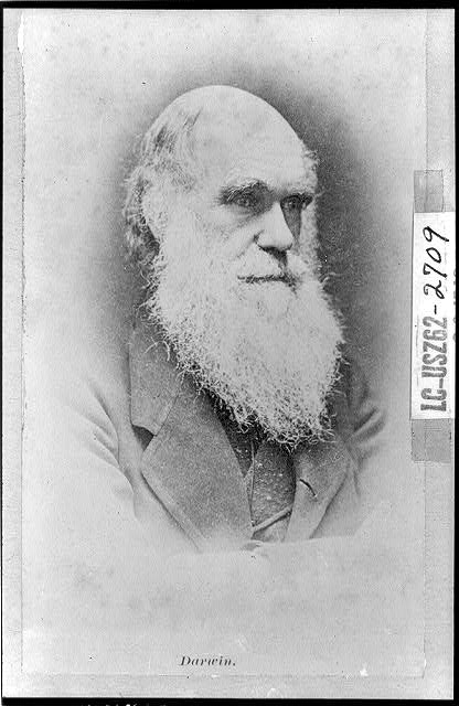 Photo de Charles Darwin : Bibliothèque du Congrès, Département des Imprimés et des Photographies [numéro de reproduction, LC-USZ61-104]