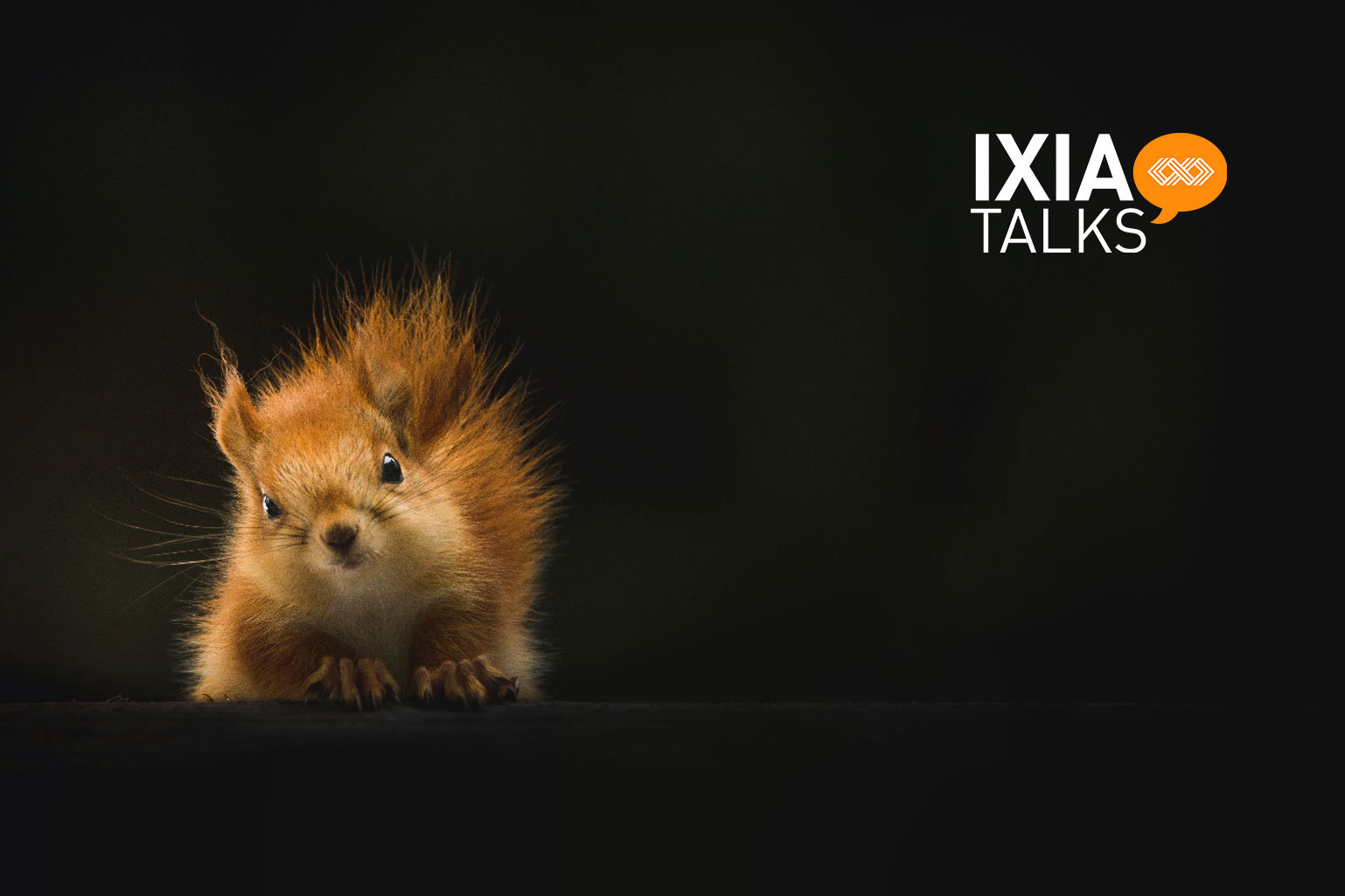 a squirrel with a logo