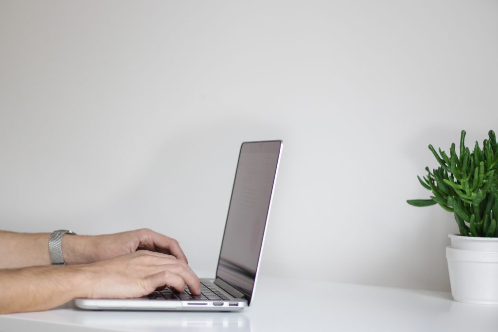 Person typing on laptop with plant.